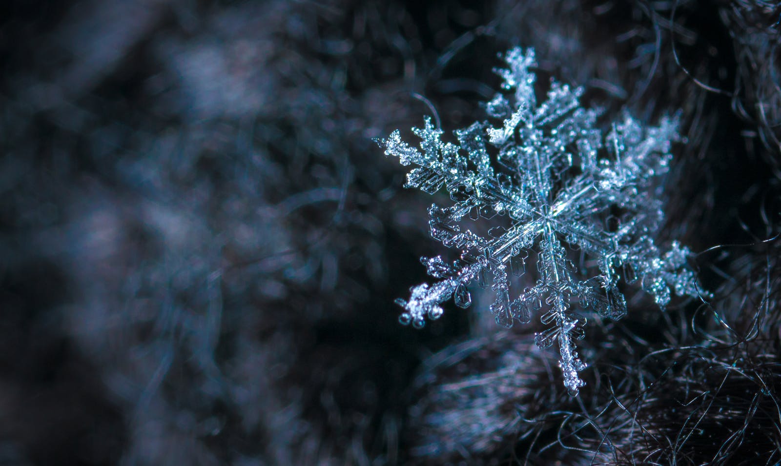 Intricate close-up of a snowflake showcasing its frosty crystalline structure in a winter setting.